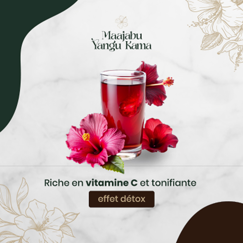 Verre de tisane d'hibiscus Maajabu Yangu Kama, avec une boisson rouge garnie de pétales d'hibiscus, entouré de fleurs d'hibiscus fraîches sur un fond clair orné de motifs floraux. Texte indiquant 'Riche en vitamine C et tonifiante, effet détox